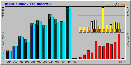 Usage summary for websrv13